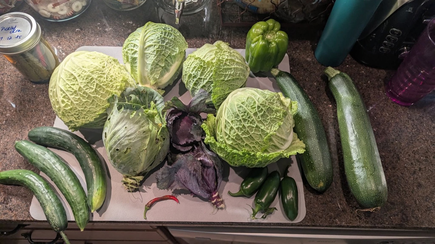 Fresh-picked cabbage, cucumbers, peppers, zucchini, and a jar of pickled okra from the acre